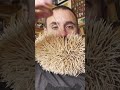 most toothpicks in a beard guinness world records