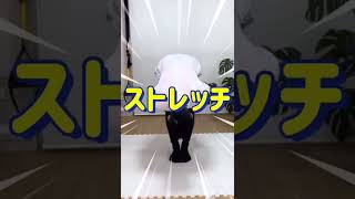 めっちゃくちゃ脚やせするのがコレ！ #shorts