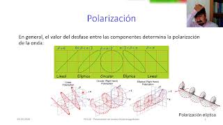 Ley de Malus + problemas