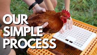 Ready to Process Chickens? Here's Our Complete System