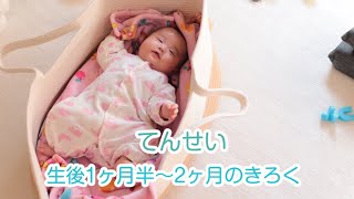 2024年 天聖 生後1ヶ月半〜2ヶ月のきろく。