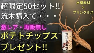 【超限定特価50セット!!】流木購入でオリジナルグッズプレゼント!!