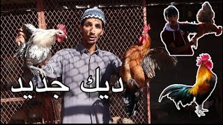 اشتريت ديك جديد ؟ و بعت القديم