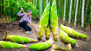 Harvest Big Bamboo Shoot, Vegetables And Go to the Market | Emma Daily Life