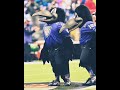 Baltimore Ravens mascot Poe (NFL Facts)🏈