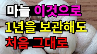 마늘저장법 오래두고 마늘 싹 안나고 1년내내 먹는 보관방법.(Garlic storage)