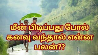 மீன் பிடிப்பது போல் கனவு வந்தால் என்ன பலன் l  What is the benefit if you dream of catching fish?