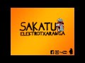 sakatu elektrotxaranga basauri