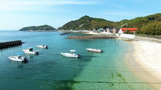 【DJI FPV】モンチッチ海岸〜風早長浜海岸を飛行＆鳥を追いかけ回す【愛媛】