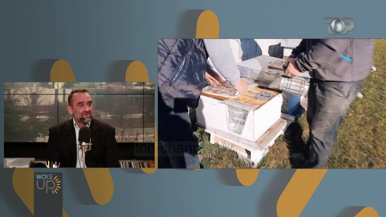 Wake Up Ku U Zhduk Mjalti Shqiptar Bletërritësit Produkti Më I