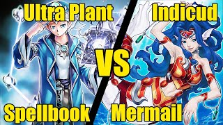 Spellbook vs Mermail HAT Format Replay