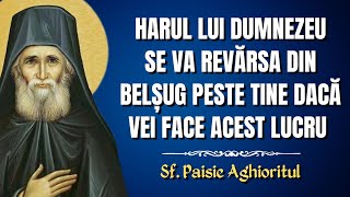 Harul lui Dumnezeu se va revărsa din belșug peste tine dacă vei face aceasta – Sf. Paisie Aghioritul