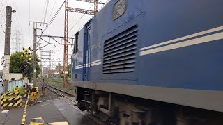 【岡桃代走牽引カンガルーライナー】JR貨物 EF210-6号機+コキ20B 吹A131仕業[5061レ] 東福山行 小田第三踏切通過！[2023.05.23(火)]