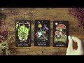 Discover your fortune with Midnight Magic, a dreamy mushroom tarot deck!