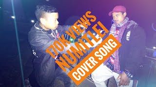 Cover song numitlei singer 🎶🎶 and actor Sanahal Yumnam and Binanda Ybs