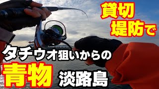 【ショアジギング】淡路島の堤防で青物・タチウオ狙いの釣り