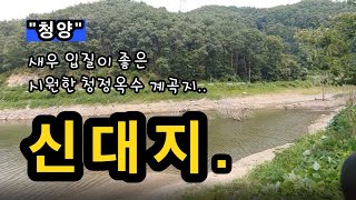 [청양]_ 신대지 / 새우 입질이 시원한 청정 계곡지 / 토종터 / 충남 청양군 운곡면 신대리 706-34