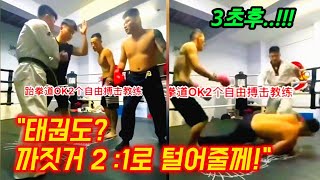 Professional fighter vs Chinese martial arts master