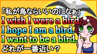 『願望』を表す【wish/hope/want】の違いをスッキリまとめて解説！【違いで覚える英会話】