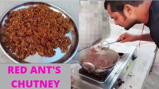 Red Ant Chutney /Kurkut ki chutney/Ant chutney/Urumbu Chammanthi / Chapda Chuthey/Tribal food