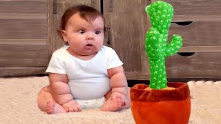 Funny Baby  Reactions to Toys | Funny Videos