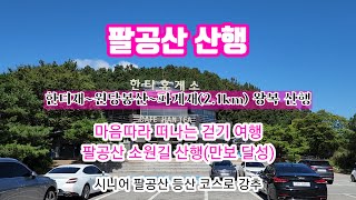 팔공산 산행 한티재에서 파계재 왕복 4.2 km 산행 (만보 달성)#팔공산 #파계재