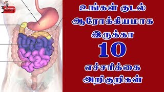 உங்கள் குடல் ஆரோக்கியமாக இருக்கா ..10 எச்சரிக்கை அறிகுறிகள் /3 MINUTES ALERTS