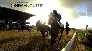 Santa Rosa Park NLCB 2015 Easter Guineas by OneManOutfit