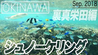 【真栄田岬・裏真栄田編】沖縄でシュノーケリング-Okinawa Snorkeling-