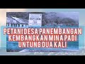 DESA PANEMBANGAN MENDAPAT PROGRAM MINA PADI DARI DINAS KELAUTAN DAN PERIKANAN JATENG