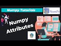 6. Numpy Attributes