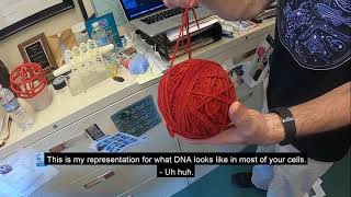 Virtual Lab Tour: Biology with Dr. Kerry Bloom at UNC-Chapel Hill