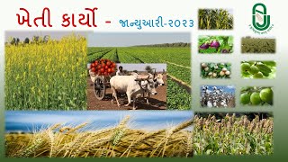 જાન્યુઆરી - ૨૦૨૩ માસના ખેતી કાર્યો | જૂનાગઢ કૃષિ યુનિવર્સિટી | Junagadh Agricultural University