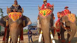 ชมการแต่งตัวทั้งช้างทั้งคน ต้องใส่อะไรบ้าง