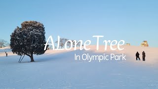 첫폭설 후 나홀로나무 Alone Tree after The first Snowfall| Seoul Olympic Park