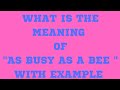 As Busy As A bee Meaning with Example!! #english_grammar_n_vocabulary #english_language #ahmedabadi