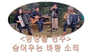 앙상블 연주_숨어우는 바람소리 공병희 아코디언연주 (accordion) @TV-zv8td