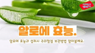 알로에 효능 과 보관방법 섭취시 주의할점 알아볼께요