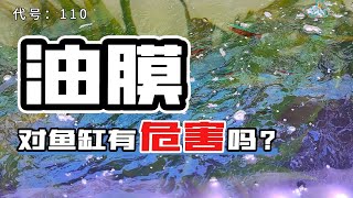 干货丨鱼缸油膜是怎么形成的对鱼有危害吗？如何去除？