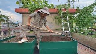 600元买的种植箱，用来种菜值不值？