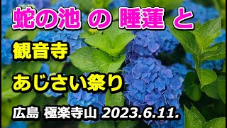 極楽寺山登山のフルコース！【スイレン祭り】と【あじさい祭り】極楽寺の正しい参拝順序を紹介します。【広島極楽寺山】2023.6.11.