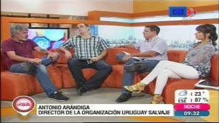 Uruguay Salvaje en Buen día Uruguay canal 4 Montecarlo TV Arándiga Producciones