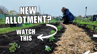 Tips for starting your first allotment. Beginners guide day one.