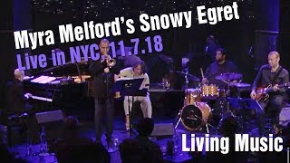 Snowy Egret: Living Music | Myra Melford