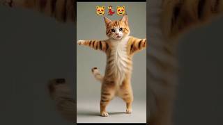 😻💃🐾️Cat dancing  video 😻#cats #funny cats #catvideos #dance  #song #aww #funnycute @furry-cornerz