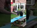 How to make a DIY seesaw from an old tyre!  Would your kids love this?