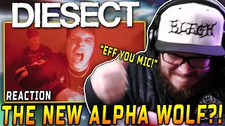 YOU WILL BREAK SOMETHING!! ffo: Alpha Wolf | DIESECT - LOOSE ENDS | REACTION / REVIEW