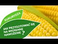 Jak przygotować się na wiosenne nawożenie kukurydzy? Konferencja Kukurydziana 18.12.2020