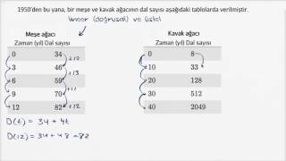 Doğrusal ve Üstel Büyümeyi Tablodan Karşılaştırma (Matematik / Cebir)