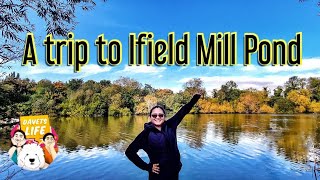 Ifield Mill Pond | Walk With Us | Davets Life